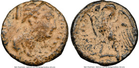 PTOLEMAIC KINGDOM. Berenice II (died 221 BC). AE (15mm, 1h). NGC Choice VF, repatinated. Heraclea by the Sea or Seleucia in Pieria. ΒΕΡΕΝΙΚΗΣ-ΒΑΣΙΛΙΣΣ...
