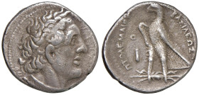 § EGITTO Tolomeo I (305-282 a.C.) Tetradramma - Testa diademata a dx. R/ Aquila stante a sx - S.Cop. 477 AG (g 14,01) Poroso.

Status: MB+

Notes:...