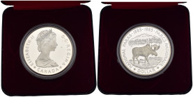 Canada - One Dollar 1985 - 100° Anniversario dei Parchi Nazionali - Ag .500 - KM#143 - in cofanetto

SPEDIZIONE IN TUTTO IL MONDO - WORLDWIDE SHIPPI...
