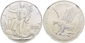 USA - One Dollar "American Silver Eagle" New Reverse - Ag .999 - KM#746 - Classical Coin Grading MS 70

SPEDIZIONE IN TUTTO IL MONDO - WORLDWIDE SHI...