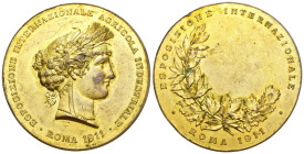 Medaglia - Esposizione Internazionale Agricola Industriale - Roma 1911 - Ae Dorato - gr. 88,64; Ø mm 61

SPEDIZIONE SOLO IN ITALIA - SHIPPING ONLY I...