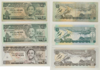 Etiopia - Lotto di 3 banconote: One Birr 1976 P#30a - One Birr 1991 P#41a - One Birr 2000 P#46b

SPEDIZIONE IN TUTTO IL MONDO - WORLDWIDE SHIPPING
...