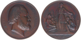 Historiepenningen - 1861 - Medal 'Hulde aan Willem III bij de Watersnood in de Bommelerwaard' by K. Wiener (Dirks842) - Obv. Bust right / Rev.Dutch Ma...