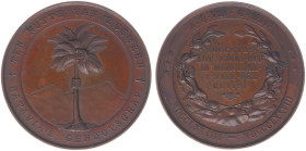 Historiepenningen - 1878 - Medal 'Eeuwfeest Bataviaasch Genootschap van Kunsten en Wetenschappen te Batavia' by C. Wiener (Zw.441) - Obv. Palm tree / ...