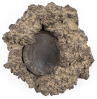 Miscellaneous - 120 Grana (Piastra) of Ferdinando IV, no date visible (1786-94) (KM198, MIR type 370, Dav.1406) with obverse facing, embedded in block...