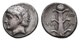 North Africa - Cyrenaica / Cyrene - AR Didrachm (c. 308-277 BC, 7.43g) - Bare head of Apollo-Carneius right wearing horn of Ammon / Silphium plant, KY...