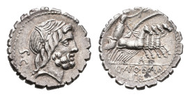 Later-Denarius Coinage (ca. 154-41 BC) - Q. Antonius Balbus - AR Serratus Denarius (Rome 83-82 BC, 3.93g) - Laureate head of Jupiter right, SC behind ...