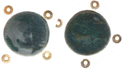 Roman Imperial Coinage - Agrippina Senior (37-41 AD) - AE Sestertius (Rome , struck under Gaius (Caligula) AD 37-41, 25.70g) - AGRIPPINA M F MAT C CAE...
