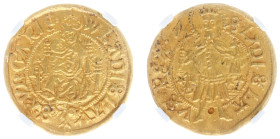 Hungary - Wladislaus II of Jagello (1490-1516) - Goldgulden nd. (1495-96), Nagybanya, treasurer Zsigmond Ernuszt and voivode Bertalan Dragfi (Lengyel8...