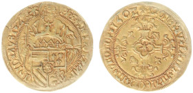 Hertogdom Brabant / Maastricht - Philips de Schone (1482-1506) - Philippusgoudgulden 1502 OVER 1501 Maastricht, overdate not described in literature (...