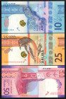 Banknotes Netherlands Oversea - Curaçao - 10, 25, 50, 100 + 200 Florin 1.1.2019 Animals (P. 21a-25a / PLAR3.1-5) - Total 5 pcs. in UNC