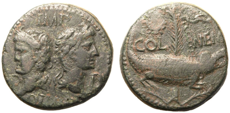 ROMAN EMPIRE. Augustus with Agrippa. 
Bronze As, 10 - 14 AD. Nemausus (Gaul). ...