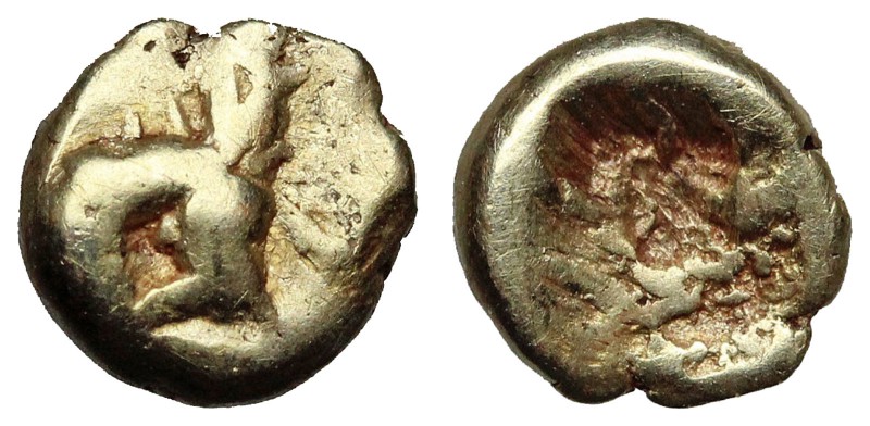 MYSIA, Kyzikos. Circa 600-550 BC. EL Forty-eighth Stater (5mm, 0.24 g). Head of ...