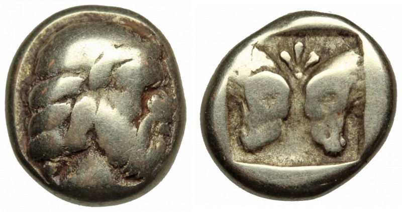 LESBOS, Mytilene. Electrum Hekte. Circa 454-427 BC. (10mm, 2.45g, 11h). Head of ...