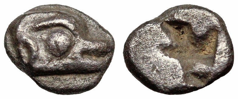 IONIA, Phokaia. Circa 525/0-500 BC. AR Hemiobol (7mm, 0.40 g). Seal’s head right...