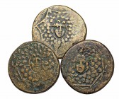 GREEK. Lot of 3 coins of Mithradates IV, all different cities, Amastris, Amisos, Komana. Group lots sold as is, no returns.