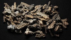 Lot of 98 Fulgurites from Algeria. Approximately 155 grams total. Fulgurites are a mineral formed by desert lightning strikes.