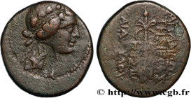 SYRIA - APAMEA
Type : Unité 
Date : an 29 
Mint name / Town : Apamée, Syrie 
Metal : bronze 
Diameter : 23  mm
Orientation dies : 12  h.
Weight : 8,80...