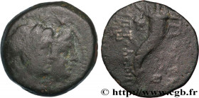 PHOENICIA - AKE-PTOLEMAÏS
Type : Hemichalque 
Date : 164-133 AC. 
Mint name / Town : Aké-Ptolémaïs, Phénicie 
Metal : copper 
Diameter : 15,5  mm
Orie...