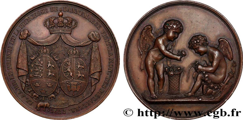 LOUIS XVIII
Type : Médaille, Visite du Prince et de la Princesse de Danemark à l...