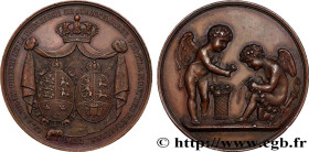 LOUIS XVIII
Type : Médaille, Visite du Prince et de la Princesse de Danemark à la Monnaie de Paris 
Date : 1822 
Metal : copper 
Diameter : 41  mm
Eng...