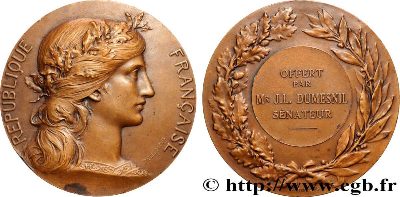 III REPUBLIC
Type : Médaille, Offerte par le sénateur Dumesnil  
Date : (1935-19...