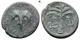 Judaea. Bar Kochba Revolt AD 132-135. Bronze Æ