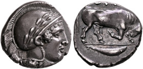 LUCANIA. Thourioi. Circa 443-400 BC. Stater (Silver, 18 mm, 7.22 g, 1 h). Head of Athena to right, wearing crested and laureate Attic helmet; behind n...