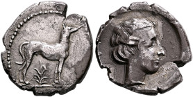 SICILY. Motya. Circa 410-405 BC. Didrachm (Silver, 23 mm, 8.58 g, 8 h). The river-god Krimisos, in the form of a hunting dog, standing right; below, p...