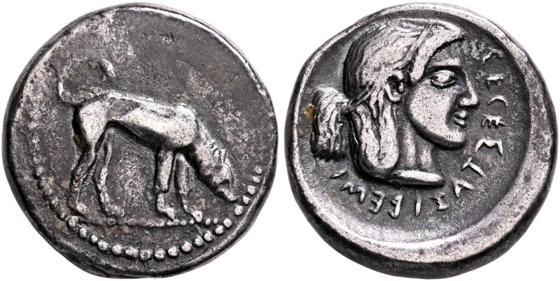 SICILY. Segesta. Circa 475/70-455/50 BC. Didrachm or Nomos (Silver, 22 mm, 8.60 ...