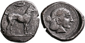 SICILY. Segesta. Circa 455/50-445/40 BC. Didrachm (Silver, 24 mm, 8.14 g, 1 h). The river-god Krimisos, in the form of a hunting dog with collar, stan...