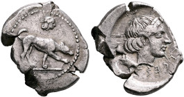 SICILY. Segesta. Circa 412/10-400 BC. Didrachm (Silver, 24 mm, 8.24 g, 3 h). The river-god Krimisos, in the form of a hunting dog, standing right, on ...