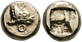 IONIA. Phokaia. Circa 625/0-522 BC. Hekte (Electrum, 9 mm, 2.16 g, 1 h). Forepart of a seal to right; below, annulet. Rev. Incuse square punch. Bodens...