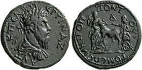 MOESIA INFERIOR. Tomis. Pertinax, 193. Tetrassarion (Bronze, 28 mm, 12.68 g, 8 h). ΑΥΤ•K•Π•ЄΛΒ•Π-ЄΡΤΙΝΑΖ Laureate, draped and cuirassed bust of Pertin...