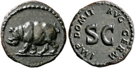 Domitian, 81-96. Quadrans (Copper, 17 mm, 2.09 g, 12 h), Rome, 84-85. Rhinoceros walking left. Rev. IMP DOMIT AVG GERM around large S C. BMC 498. CBN ...