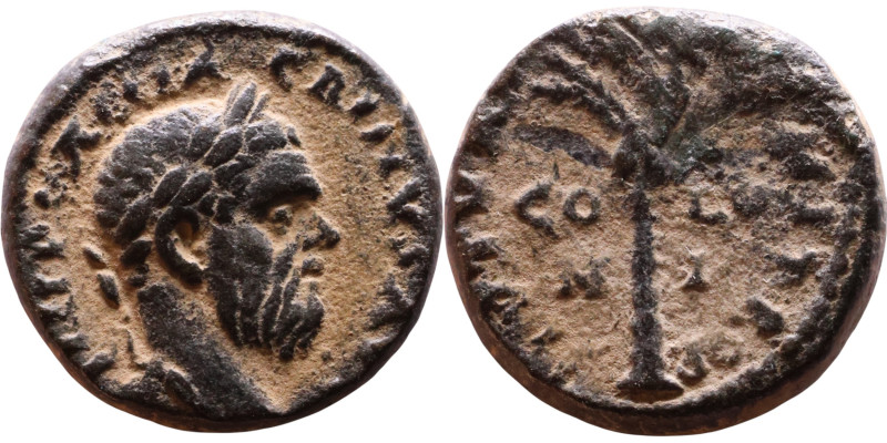 Macrinus (217-218) Bronze coin. Obv: Laureate, draped bust of emperor. Rev: Palm...