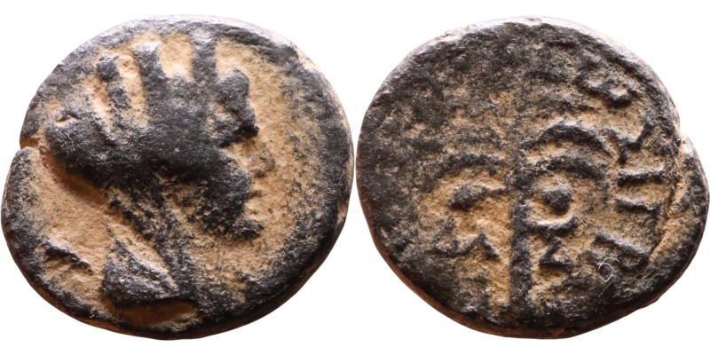 Phoenicia (I century BC) Bronze coin. Obv: Bust of Tyche. Rev: Palm Tree

16mm...