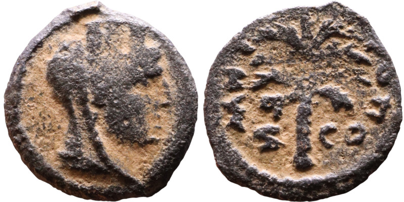 Phoenicia (I century BC) Bronze coin. Obv: Bust of Tyche. Rev: Palm Tree

13mm...