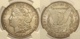 USA  Repubblica Federale (1789 - ) Dollaro 1878 CC Carson City KM110 AG In Slab NGC MS 62