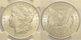 USA  Repubblica Federale (1789 - ) Dollar 1884 CC Carson City KM110 AG In Slab NGC MS 63