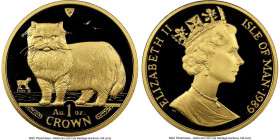 British Dependency. Elizabeth II gold Proof "Persian" Crown (1 oz) 1989-PM PR69 Ultra Cameo NGC, Pobjoy mint, KM250b, Fr-B50. Cat series. HID098012420...
