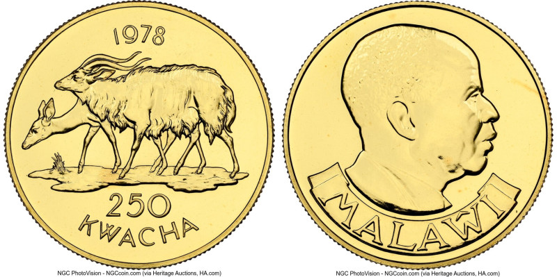 Republic gold "Nyala" 250 Kwacha 1978 MS67 NGC, British Royal Mint, KM17. Mintag...