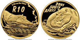 Republic gold Proof "Natura - Hippopotamus" 10 Rand (1/10 oz) 2005 PR69 Ultra Cameo NGC, KM422. Giants of Africa series. HID09801242017 © 2024 Heritag...