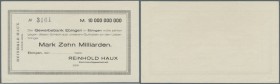 Ebingen, Reinhold Haux, 10 Mrd. Mark, o. D., Scheck auf Gewerbebank Ebingen, mit KN, ohne Unterschrift, bei Keller und Karau Ausgabestelle unbekannt, ...