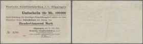 Göppingen, Deutsche Gelatinefabriken AG, 100 Tsd. Mark, 31.7.1923, Erh. III