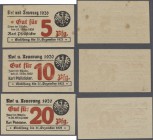 Isny, Karl Pfeilsticker, 5, 10, 20 Pfg., 31.3.1920 - 31.12.1921, Erh. III, I (2), total 3 Scheine