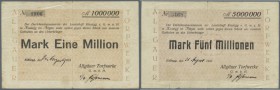 Kisslegg, Allgäuer Torfwerke, 1 Mio. Mark, 24.8. (hschr.), 5 Mio. Mark, 31.8. (hschr.) 1923, Erh. IV, total 2 Scheine