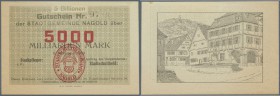 Nagold, Stadt, 5 Billionen (5000 Milliarden) Mark, 8.11.1923, Wertziffer rot, mit KN, leicht randbraun, Erh. I-II