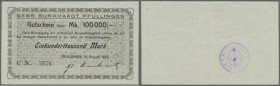 Pfullingen, Gebr. Burkhardt, 100 Tsd. Mark, 15.8.1923, Erh. II-III