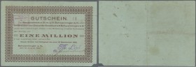 Schwenningen, Gewerbebank und Disconto-Gesellschaft, Kundenscheck für M. Link, 1 Mio. Mark, 10.8. - 10.9.1923, 1 cm Eckmangel unten rechts, Erh. IV